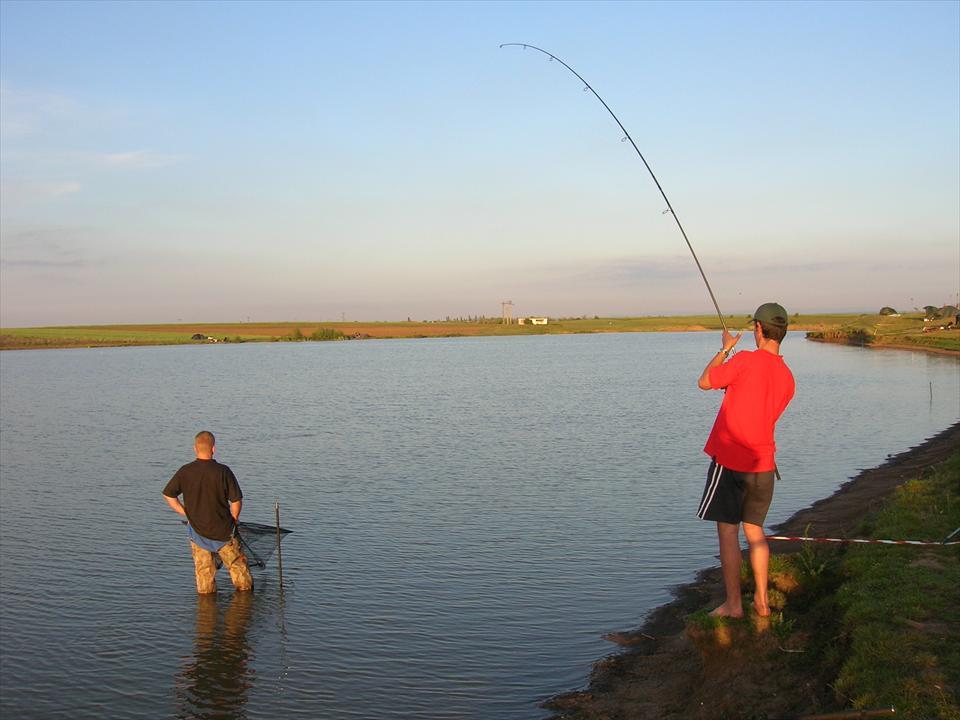 senzor peste tot - 21.JPG